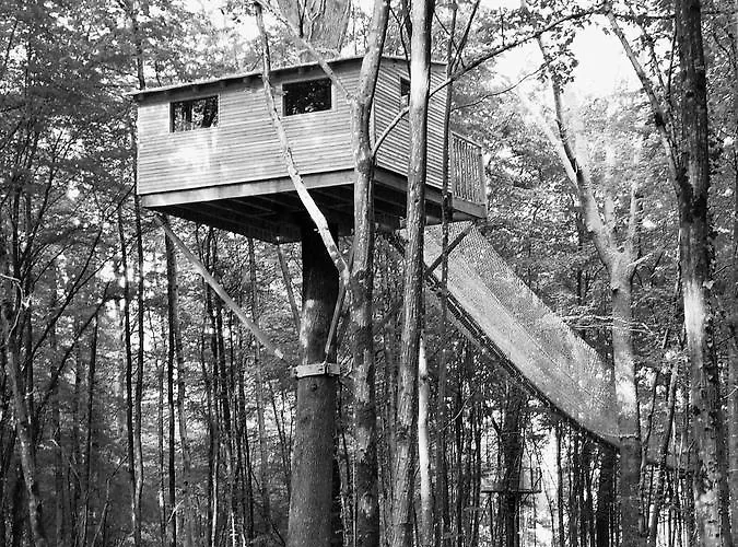 Le Chene Perche Signy-l'Abbaye
